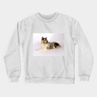 The most beautiful Collie Crewneck Sweatshirt